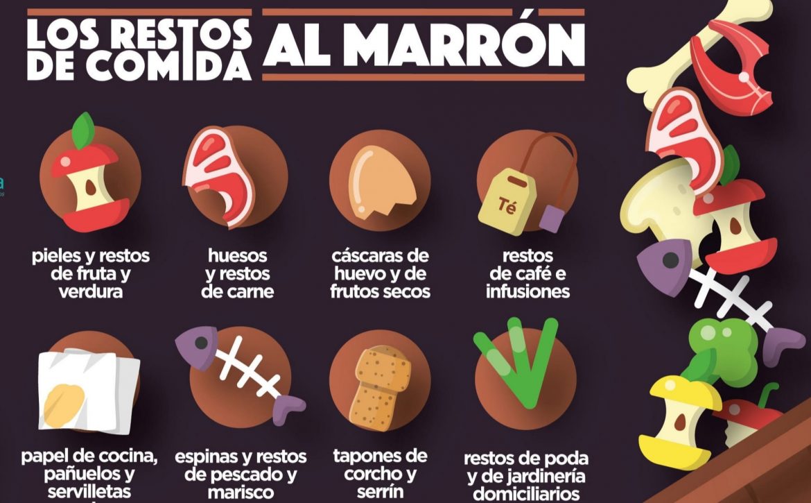 marron1