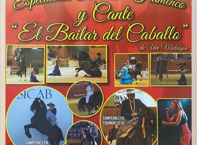 240910 – Actualidad – caballos