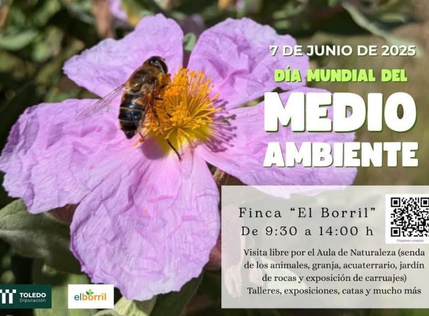Día del Medio Ambiente