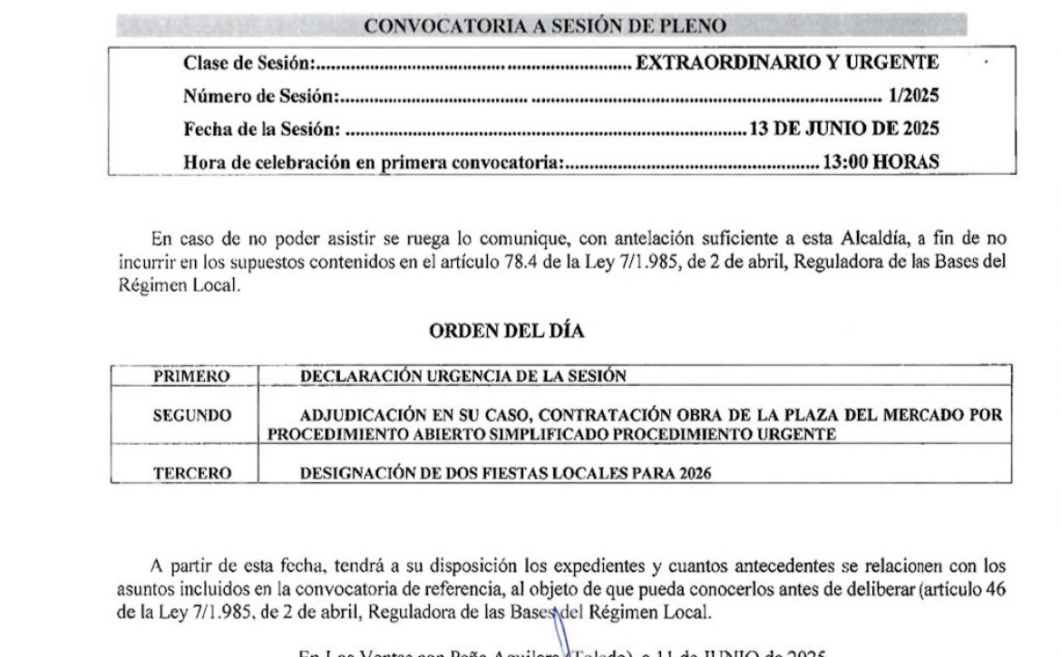 Pleno Mercado y Fiestas