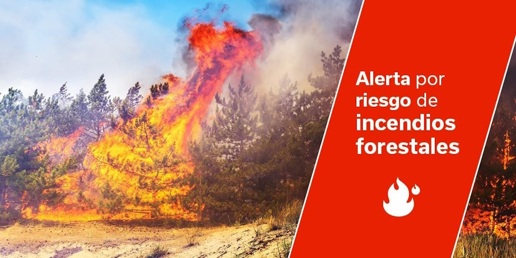 Nivel 4 Incendios