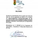 TRATAMIENTO FITOSANITARIO