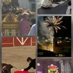 FIN DE FIESTAS