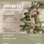 EXPOSICIÓN DE BONSAI EN EL HOGAR DEL JUBILADO. 23 DE OCTUBRE.