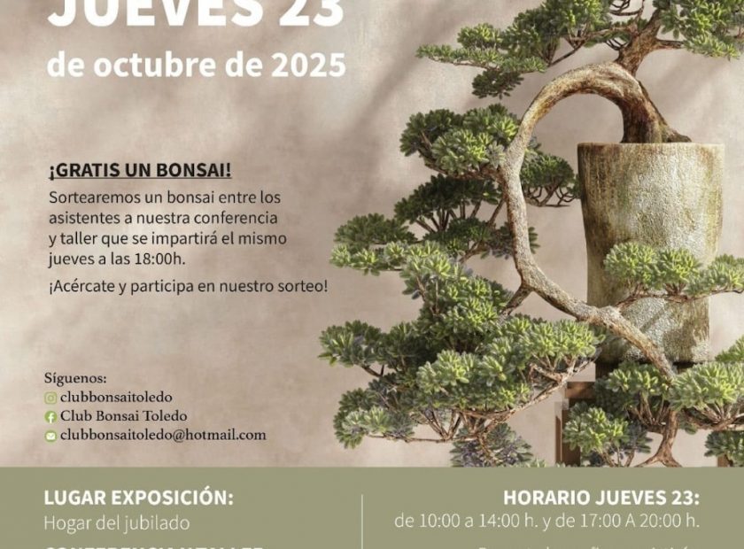 Exposición de Bonsai Cartel