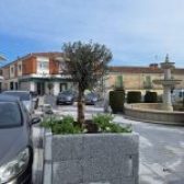 EMBELLECIMIENTO DE LA PLAZA DEL MERCADO