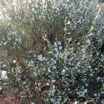 CONCURSO DE FOTOGRAFÍA