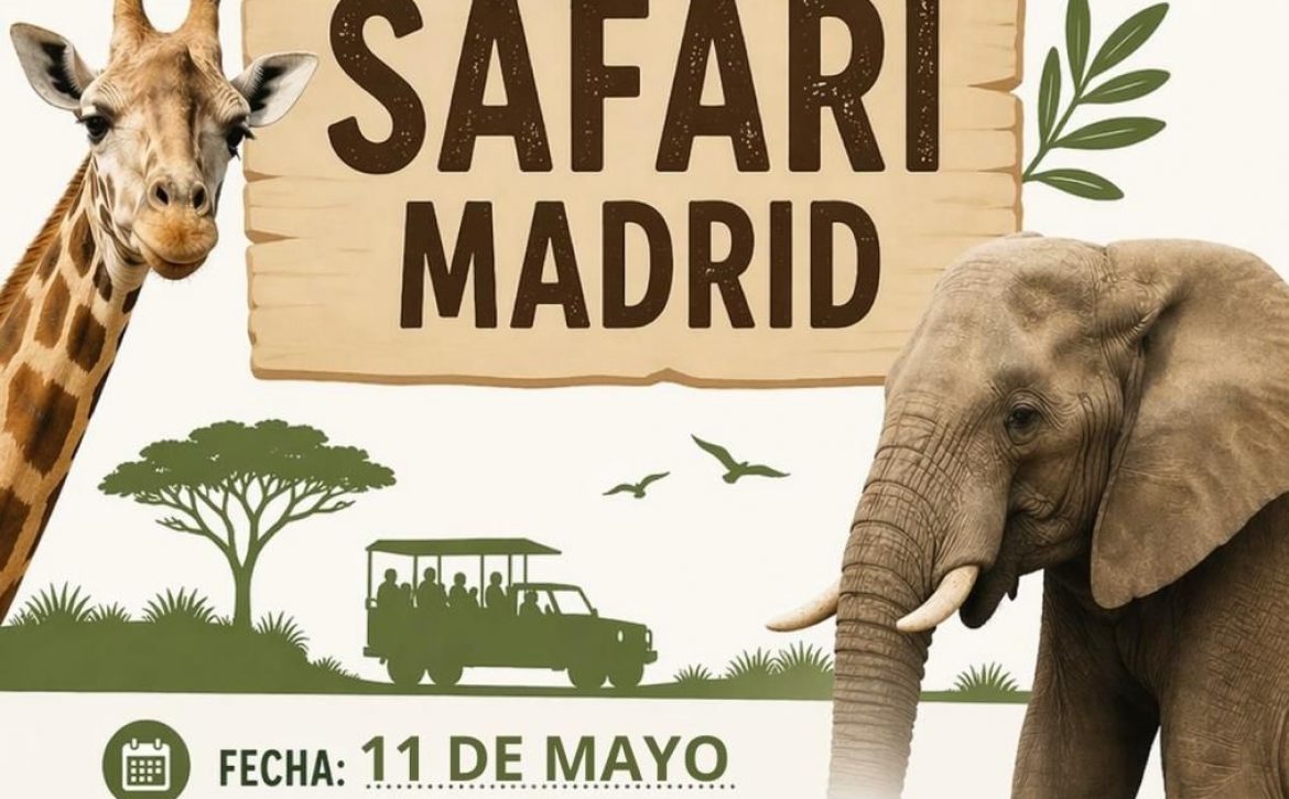 Visita al Safari