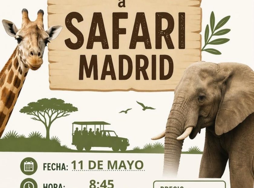Visita al Safari