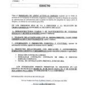 PROGRAMA DE APOYO ACTIVO AL EMPLEO