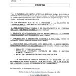 PROGRAMA DE APOYO ACTIVO AL EMPLEO