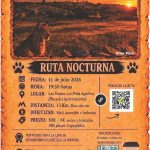III RUTA NOCTURNA DEL LINCE