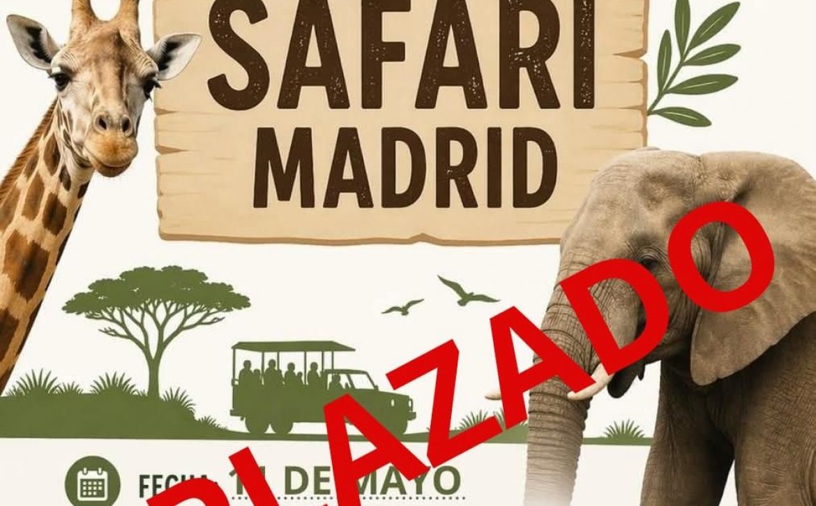 SAFARI APLAZADO