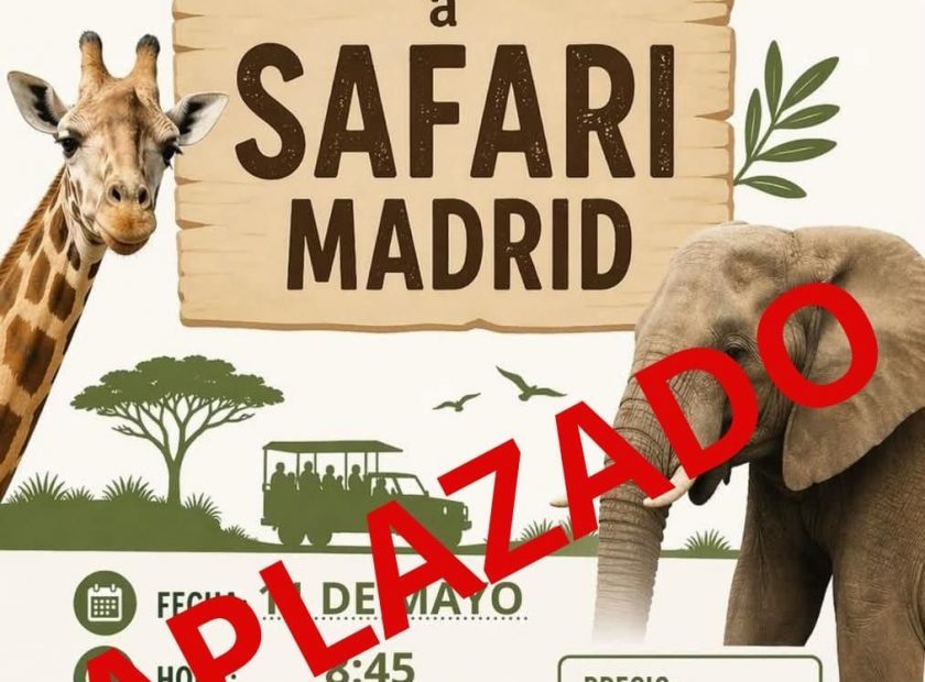 SAFARI APLAZADO