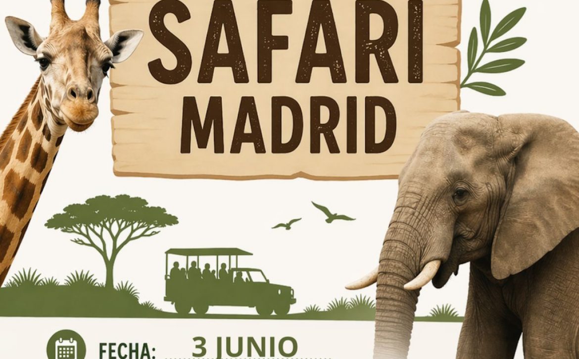 Visita al Safari 3 junio